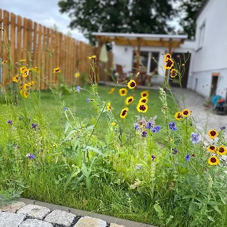 Am Waldrand Apartment